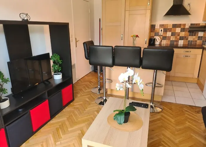 Appartement Avec Rez De Jardin A Disneyland