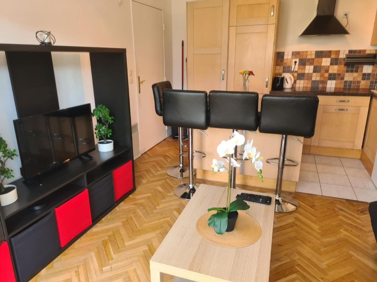 Avec Rez De Jardin A Disneyland Appartement Montévrain