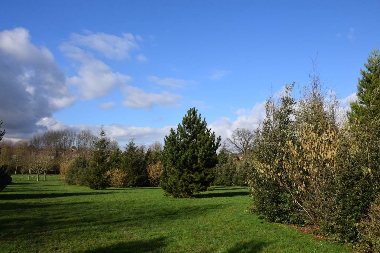 Appartement Avec Rez De Jardin à Disneyland Montévrain